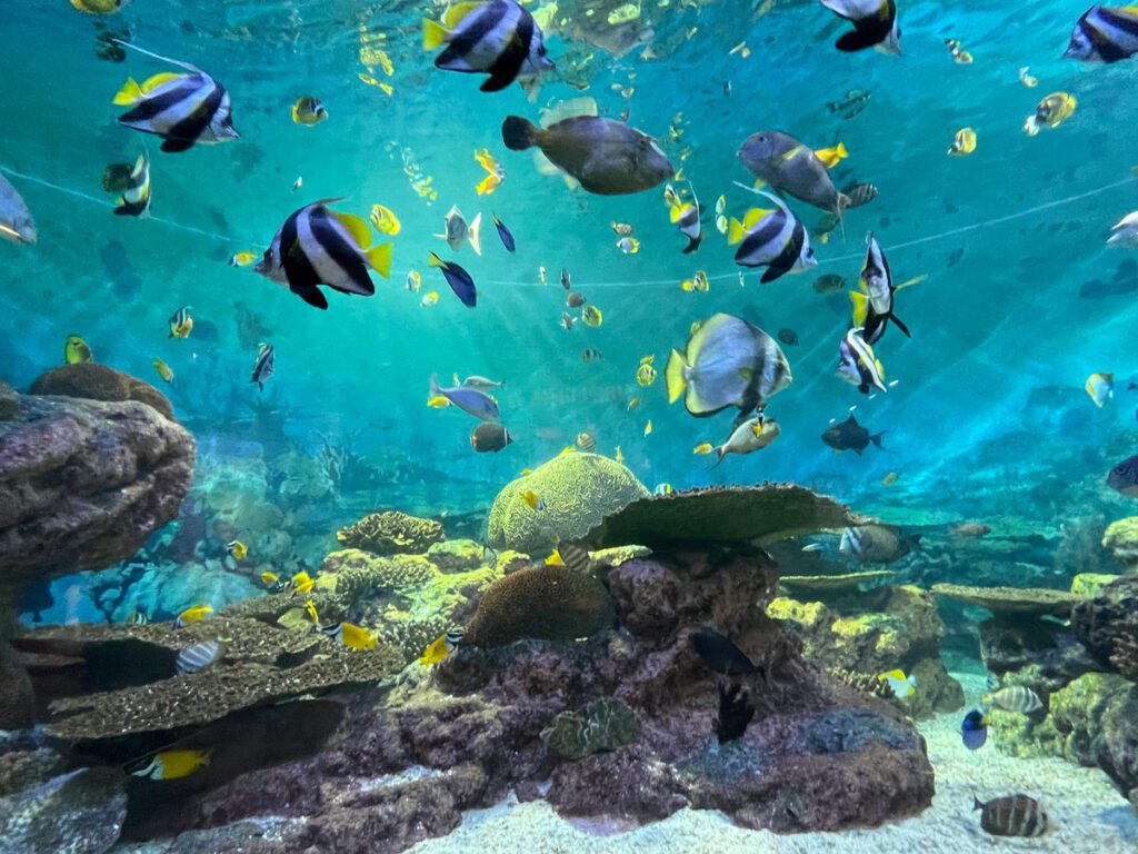 Underwater World Pattaya