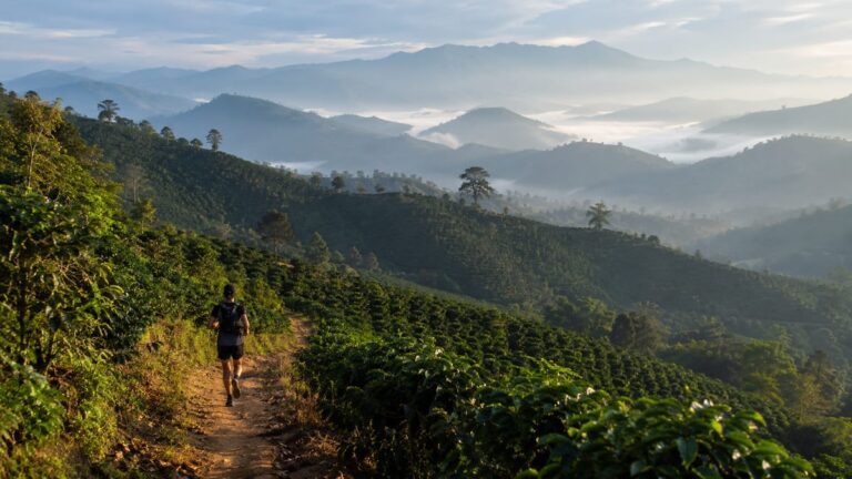 Pong Yaeng Trail 2026